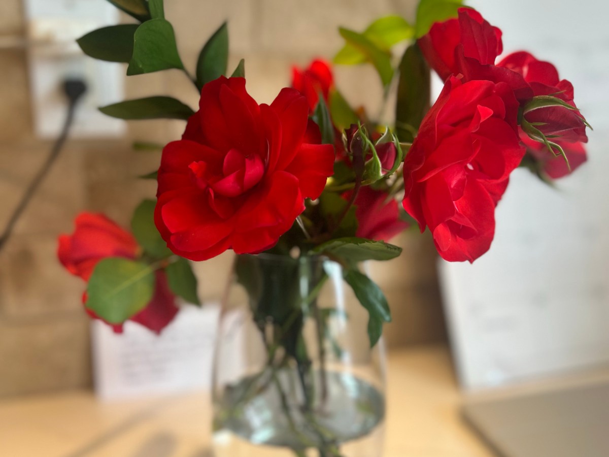 Walking in Wisdom and&nbsp;Conviction